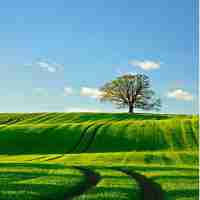 网‌站‍监﻿控‌分​析‌